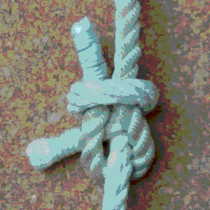 Škotová spojka – rub. Foto: Vseolodich.cz.